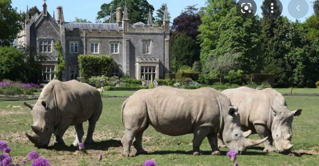 Large Stylish Luxury Cotswold Cottage - Ideal For Families, W/ Ev Charging 앤도버스포드 외부 사진